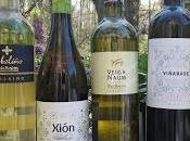 Introduction Galicia's Rías Baixas #WineStudio