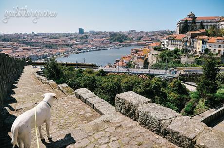 Porto from Muralha Fernandina 