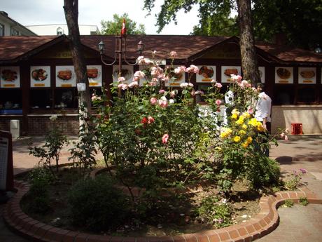 Amasya's Tea Garden