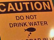 Beer Review Wasatch Brewery Polygamy Porter