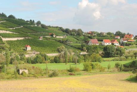 Viñedos en Alemania