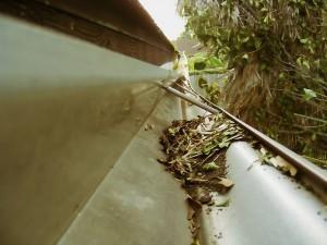 gutter
