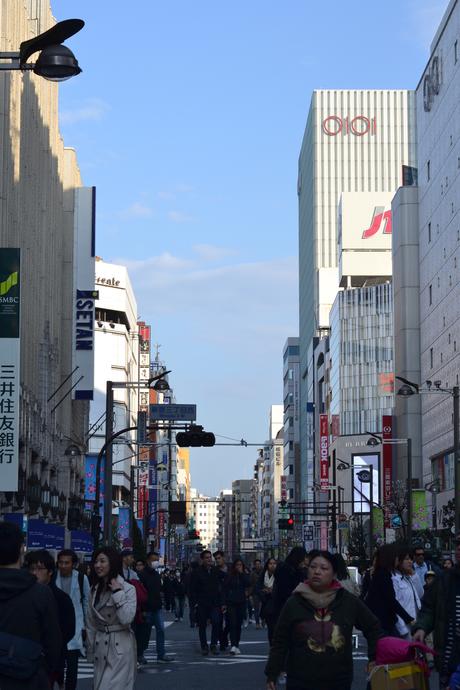 Settling in in Tokyo, Ghibli and roaming Shinjuku.