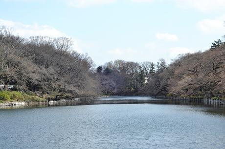 Settling in in Tokyo, Ghibli and roaming Shinjuku.