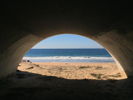 View From An Emptied Nest