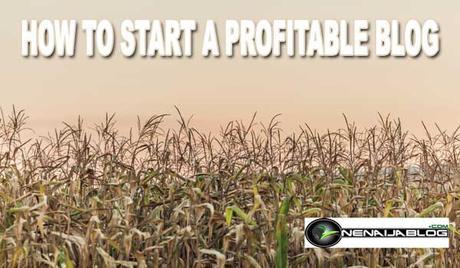 start profitable blog