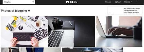 Absolutely Free Websites to Download Stock Images Absolutely Free Websites to Download Stock Images