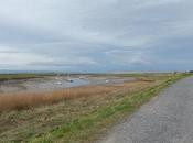 Burnham Dunball Coastal Walk