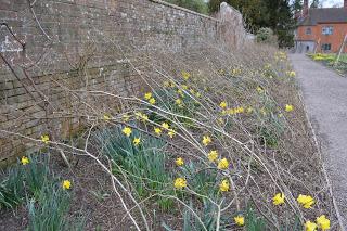 Spring at Baddesley Clinton