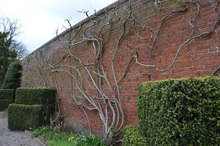 Spring at Baddesley Clinton