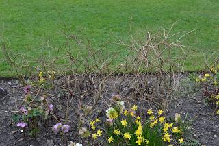 Spring at Baddesley Clinton