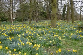 Spring at Baddesley Clinton