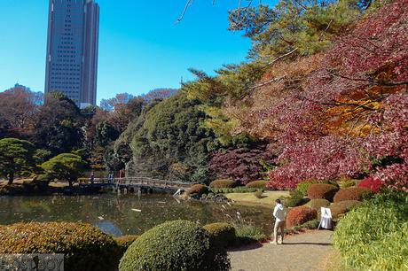 Western Tokyo in a Day: Harajuku, Shibuya, and Shinjuku