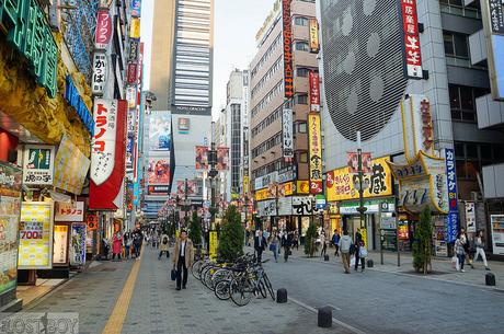 Western Tokyo in a Day: Harajuku, Shibuya, and Shinjuku