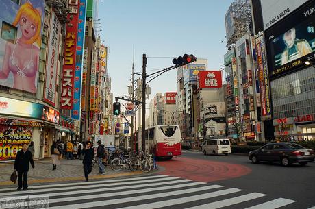 Western Tokyo in a Day: Harajuku, Shibuya, and Shinjuku