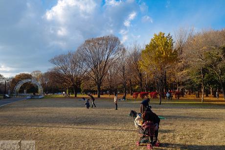 Western Tokyo in a Day: Harajuku, Shibuya, and Shinjuku