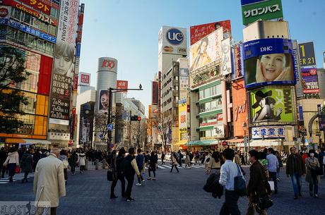 Western Tokyo in a Day: Harajuku, Shibuya, and Shinjuku