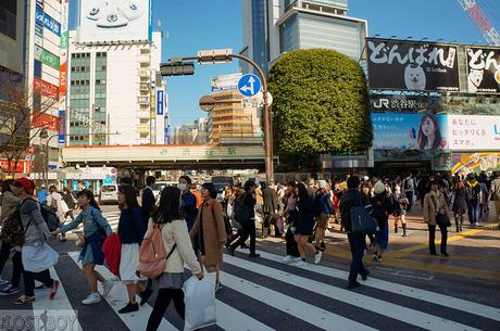 Western Tokyo in a Day: Harajuku, Shibuya, and Shinjuku