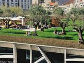 Jardim Oliveiras: Porto’s Urban Rooftop Garden
