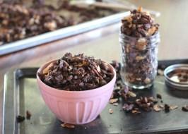 Chocolate Coconut Paleo Granola (GF + Vegan)