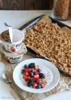 Almond Coconut Butter Granola