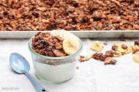 Chocolate Banana Granola (GF + Vegan)