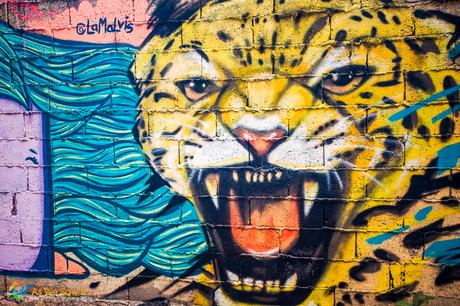 Colorful jaguar street art on a wall in Casco Viejo