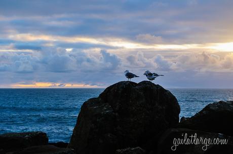 Praia de São Paio (Labruge, Vila do Conde), Porto