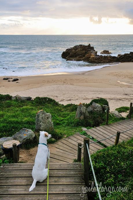 Praia do Castro de São Paio (Labruge, Vila do Conde), Porto