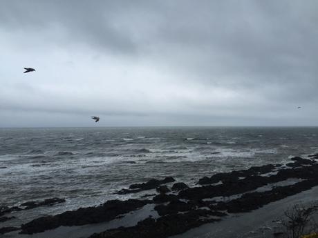 Look out to the North Sea using the talking telescope at The Museum of The University of St Andrews (MUSA)