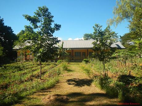 Cebu Southern Ecological Farm