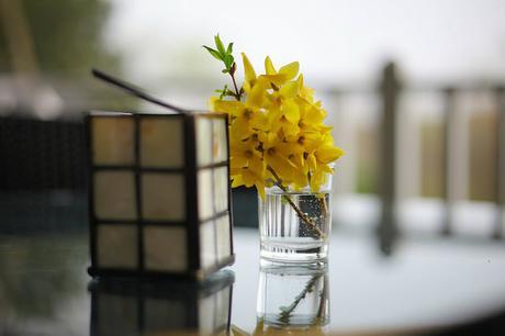 Head to Clifton Inn NOW Head to Clifton Inn NOW