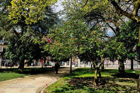 Jardim de São Lázaro, Porto