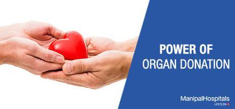 The Importance of Organ Donation