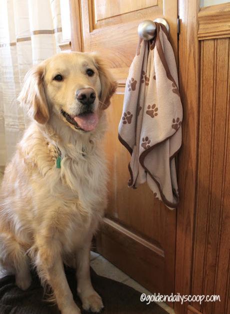 large microfiber pet towel for dogs