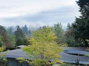 This House Gets Better with