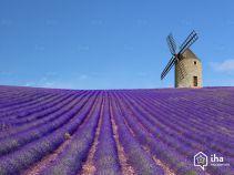 Join me for a Fiction Writing Workshop in Provence