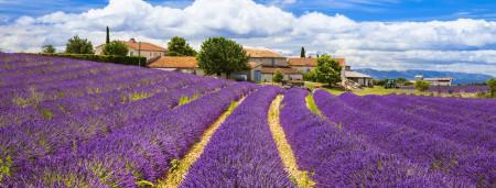 Join me for a Fiction Writing Workshop in Provence