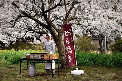 191. Japanese director Naomi Kawase’s “An” (Sweet Bean/Sweet Red Bean Paste) (2015):  Zen and the art of making pancakes