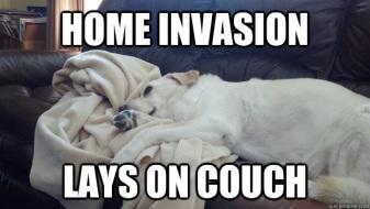 home invasion