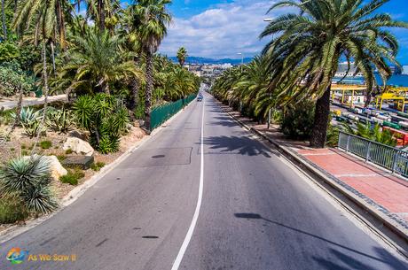 Beauty of the Mediterranean flora and fauna