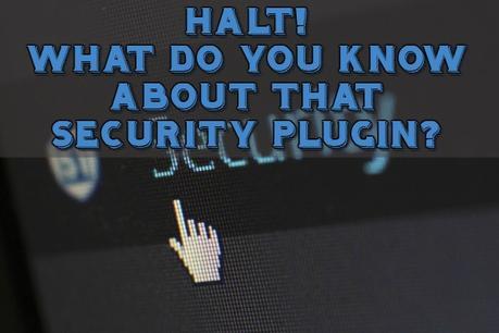 HALT! What Do You Know About that Security Plugin?