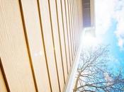 Siding Comparison: Fiber Cement Wood Vinyl