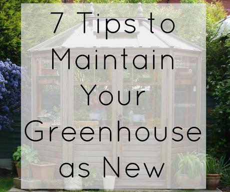 7 Tips to Maintain Your Greenhouse as New