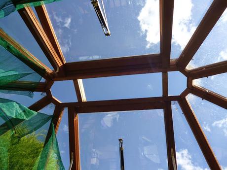 greenhouse storm damage 