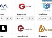 NamePerfection Brandable Domain Names Startups