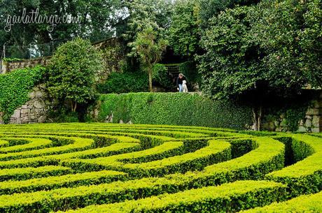 Parque de São Roque da Lameira, Porto