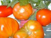 Tips Growing Tomatoes…