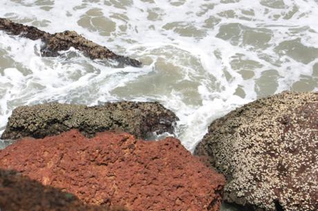 Taken on April 2, 2016 near Varkala