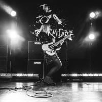 The Joy Formidable @ Irving Plaza-14